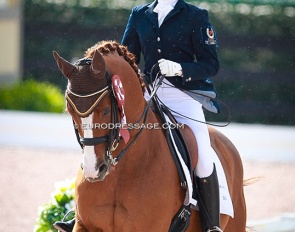Camille Carier Bergeron and Lowelas at the 2015 CDI Wellington :: Photo © Astrid Appels