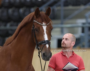 Theo Hanzon with JFK at the 2024 CDI Ermelo :: Photo © Astrid Appels
