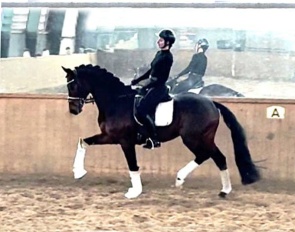 Susanne Krohn on the 5-year old Zackham 