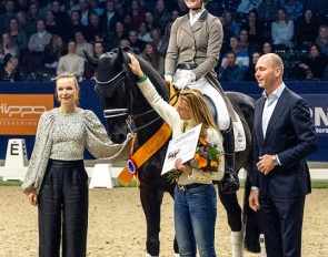Lara van Nek on All at Once at the Keur presentation during the 2026 KWPN Stallion Licensing