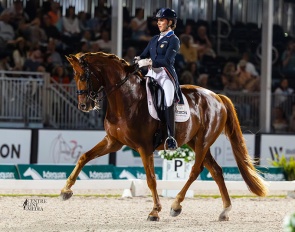 Jennifer Williams and Joppe K at the 2026 CDI Palm Beach Derby :: Photo © Centre Line Media