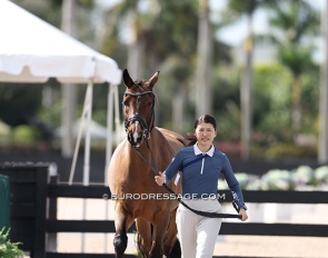 Akiko Yamazaki and Grey C Carrus trotting up for the 2026 CDI Wellington on 5 - 8 February 2026