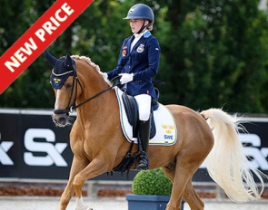 Falco at the 2024 European Pony Championships :: Photo © Astrid Appels