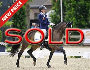 Nice One at the 2024 European Pony Championships