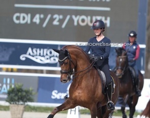 Larissa Pauluis schooling Valentin at the 2022 CDI Opglabbeek at Sentower Park :: Photo © Astrid Appels