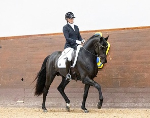 Linnea Coster on Still a Secret at the 2026 SWB Stallion Performance Test