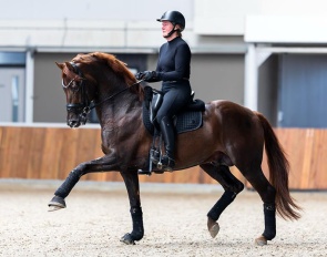Owner Saskia van Musscher and Tesla :: Photo © Equigeniek