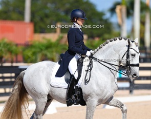 Lisa Wilcox and Niquel CAP in the national Grand Prix at the 2026 Global Dressage Festival :: Photo © Astrid Appels