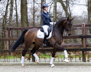 Next Romance (by For Romance x Havel)