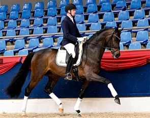 Besandro Gold (by Best of Gold x Sandro Hit)