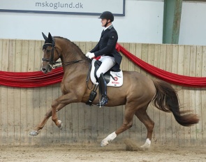 Kristinelyst Bon Fox :: Photos © Wiegaarden