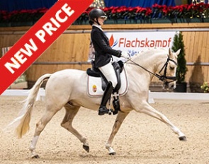 Dating Point AT at the CDI Aachen Young Stars competition