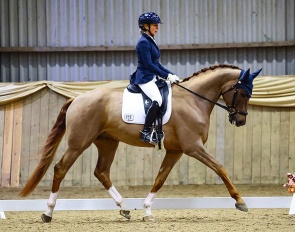 K.I. Smargd - Talented rising 5-YO Hanoverian by Shu Fu x Sezuan