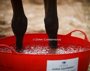 Horses' legs being iced at the 2018 World Equestrian Games :: Photo © Dirk Caremans