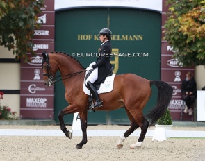 Renate Voglsang and Fürst Ferdinand zur Fasanenhöhe at the 2023 CDI Hagen :: Photo © Astrid Appels
