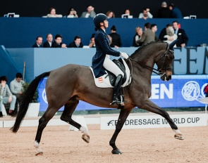 Beatriz Ferrer-Salat on Elegance at the 2024 CDI-W Madrid