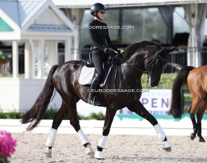 Campbell Jones on Nation VDL schooling in the international stadium during the 2025 Palm Beach Derby :: Photo © Astrid Appels