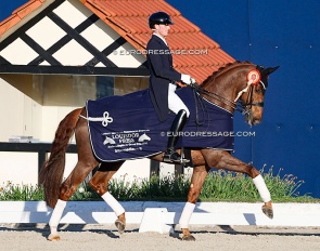 Frederic Wandres and Veuve Clicquot won the warm-up round of the Louisdor Cup qualifier at the 2026 CDI Hagen :: Photo © Astrid Appels