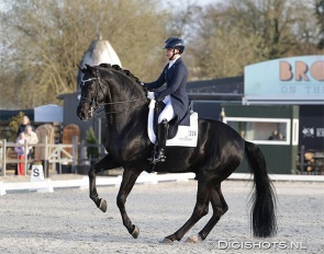 Therese Nilshagen and Navarro at the 2026 CDI Tolbert :: Photo © Digishots