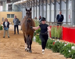 Favourite for the win: British Becky Moody and Jagerbomb in the trot-up at the 2026 World Cup Finals