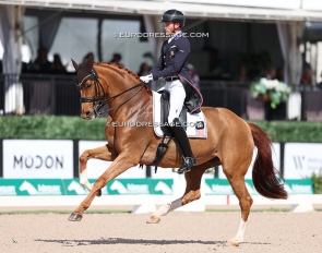 Ben ebeling and Bellena at the 2026 CDI-W Wellington :: Photo © Astrid Appels