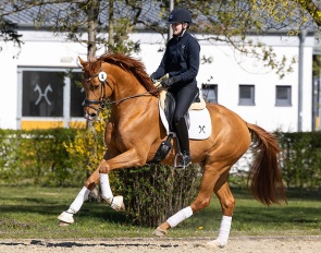 Sony (by Secret x Quaterback)