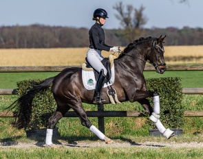 Euphoria (by Escolar x Furst Fugger)