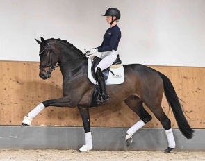 Venedig (by V-Plus x Scolari)