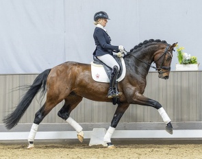 Bentheim (by Belvedere x Rock Forever) :: Photo © Recki