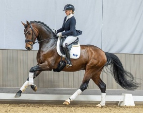 Bentheim (by Belvedere x Rock Forever) :: Photo © Recki