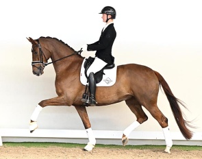 Mirabelle, 5-YO mare by My Vitality x Bon Bravour