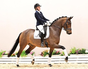 Bonaparte (by Bon Vivaldi x Harvard)