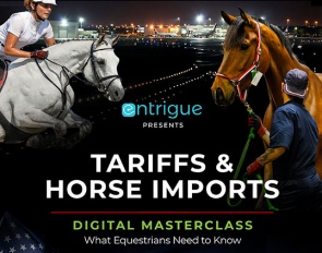 dual masterclass webinar on tariffs and horse import, hosted by Entrigue and powered by Horseflight