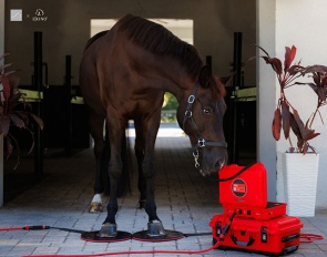 Pulsed Electromagnetic Field Technology by E-Kino