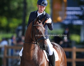 Bart Veeze and Nero at the 2024 World Young Horse Championships :: Photo © Astrid Appels