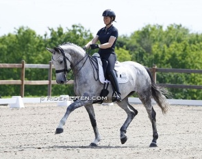 Susanne Barnow on Fleurissima's Fleur Royale II at the Danish WCYH selection trial in Randbol :: Photo © Ridehesten