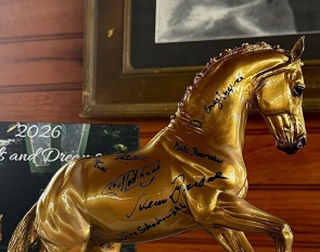 Valegro Breyer Model signed by 19 prolific equestrians to raise funds for brain cancer research at Duke University