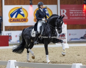 Kil Koolen and For Ferrero at the 2023 Belgian Warmblood Stallion Licensing show :: Photo © Dirk Caremans