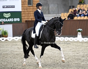Karin Nissen and Scaglietti V competing in Randbol in 2023 :: Photo © Ridehesten