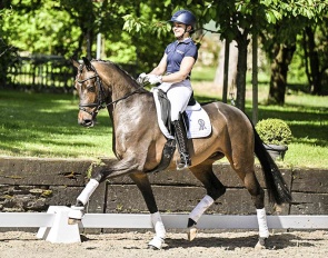 Fame (by Furst Jazz x Sir Donnerhall)