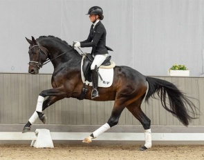 Franc (by Franze x Beltoni) :: Photo © Guido Recki