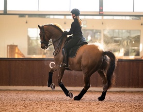 Beata Soderberg, owner of. Söderberg Select Stables :: Photo © Hana Muzikova