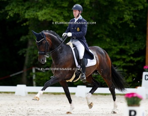 Kevin Laevens on Kozinsky van den Dries at the 2019 CDI Compiegne :: Photo © Astrid Appels