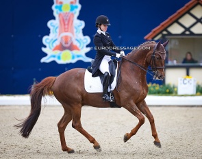 Franziska Stieglmaier and Samurai at the 2023 CDI Hagen :: Photo © Astrid Appels