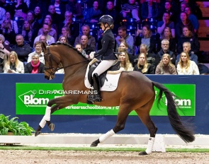 Phoebe Peters and McMary at the 2025 KWPN Stallion Licensing :: Photos © Dirk Caremans