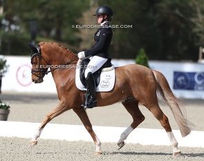 Lilli von Helldorff on Nabucco HW at the 2026 CDIO Fontainebleau :: Photo © Astrid Appels