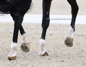 Ready for the next step :: Photo © Astrid Appels