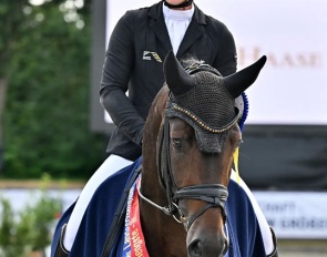 Brandi Roenick on the 4-year old stallion Dynamite (by  Debutant x Feinrich) :: Photo © OLD art
