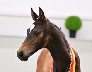 El Tri (by Erste Sahne x Belantis x Samba Hit) :: Photo © Bjorn Schroeder