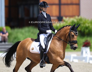 Liezel Everars and FS Capelli De Niro at the 2022 CDI Meerle :: Photo © Astrid Appels
